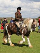 Image 149 in WORLD HORSE WELFARE SHOWING SHOW. 17 APRIL 2016