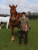 Image 15 in WORLD HORSE WELFARE SHOWING SHOW. 17 APRIL 2016
