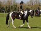 Image 155 in WORLD HORSE WELFARE SHOWING SHOW. 17 APRIL 2016