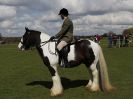 Image 156 in WORLD HORSE WELFARE SHOWING SHOW. 17 APRIL 2016