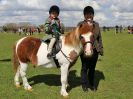 Image 166 in WORLD HORSE WELFARE SHOWING SHOW. 17 APRIL 2016