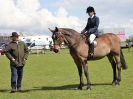 Image 177 in WORLD HORSE WELFARE SHOWING SHOW. 17 APRIL 2016