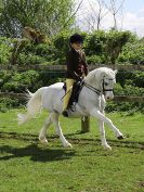 Image 187 in WORLD HORSE WELFARE SHOWING SHOW. 17 APRIL 2016
