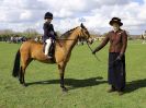 Image 192 in WORLD HORSE WELFARE SHOWING SHOW. 17 APRIL 2016