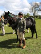 Image 209 in WORLD HORSE WELFARE SHOWING SHOW. 17 APRIL 2016