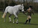 Image 226 in WORLD HORSE WELFARE SHOWING SHOW. 17 APRIL 2016