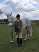 Image 229 in WORLD HORSE WELFARE SHOWING SHOW. 17 APRIL 2016