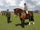 Image 231 in WORLD HORSE WELFARE SHOWING SHOW. 17 APRIL 2016