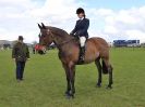 Image 249 in WORLD HORSE WELFARE SHOWING SHOW. 17 APRIL 2016