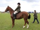 Image 280 in WORLD HORSE WELFARE SHOWING SHOW. 17 APRIL 2016