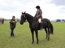 Image 285 in WORLD HORSE WELFARE SHOWING SHOW. 17 APRIL 2016