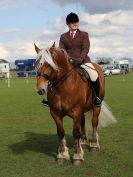 Image 304 in WORLD HORSE WELFARE SHOWING SHOW. 17 APRIL 2016
