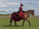 Image 325 in WORLD HORSE WELFARE SHOWING SHOW. 17 APRIL 2016