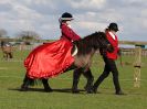 Image 327 in WORLD HORSE WELFARE SHOWING SHOW. 17 APRIL 2016