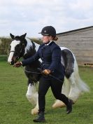 Image 50 in WORLD HORSE WELFARE SHOWING SHOW. 17 APRIL 2016