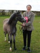 Image 62 in WORLD HORSE WELFARE SHOWING SHOW. 17 APRIL 2016