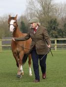 Image 8 in WORLD HORSE WELFARE SHOWING SHOW. 17 APRIL 2016