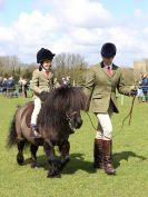 Image 83 in WORLD HORSE WELFARE SHOWING SHOW. 17 APRIL 2016