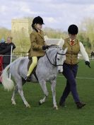 Image 91 in WORLD HORSE WELFARE SHOWING SHOW. 17 APRIL 2016