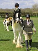 Image 92 in WORLD HORSE WELFARE SHOWING SHOW. 17 APRIL 2016