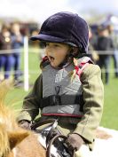 Image 94 in WORLD HORSE WELFARE SHOWING SHOW. 17 APRIL 2016