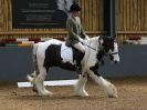 Image 80 in DRESSAGE AT HUMBERSTONE. 24 APRIL 2016
