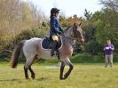 Image 10 in ADVENTURE RC. DRESSAGE. 1 MAY 2016