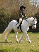 Image 11 in ADVENTURE RC. DRESSAGE. 1 MAY 2016
