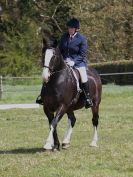 Image 22 in ADVENTURE RC. DRESSAGE. 1 MAY 2016