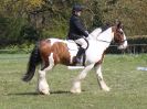 Image 25 in ADVENTURE RC. DRESSAGE. 1 MAY 2016