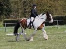Image 26 in ADVENTURE RC. DRESSAGE. 1 MAY 2016