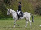 Image 40 in ADVENTURE RC. DRESSAGE. 1 MAY 2016