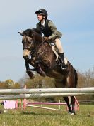 Image 10 in ADVENTURE RC. SHOW JUMPING. 1 MAY 2016