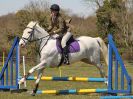 Image 2 in ADVENTURE RC. SHOW JUMPING. 1 MAY 2016