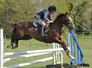 Image 43 in ADVENTURE RC. SHOW JUMPING. 1 MAY 2016