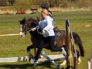 Image 55 in ADVENTURE RC. SHOW JUMPING. 1 MAY 2016