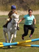 Image 63 in ADVENTURE RC. SHOW JUMPING. 1 MAY 2016