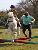 Image 64 in ADVENTURE RC. SHOW JUMPING. 1 MAY 2016