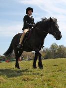 Image 79 in ADVENTURE RC. SHOW JUMPING. 1 MAY 2016