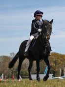 Image 82 in ADVENTURE RC. SHOW JUMPING. 1 MAY 2016