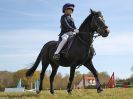 Image 83 in ADVENTURE RC. SHOW JUMPING. 1 MAY 2016