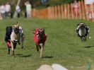 Image 105 in 1ST. WCRA CHAMPIONSHIP 2016