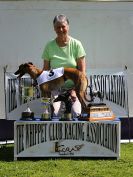 Image 9 in 1ST. WCRA CHAMPIONSHIP  2016.  THE TROPHIES.