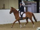 Image 129 in HALESWORTH AND DISTRICT RC. DRESSAGE AT BROADS EC. 14 MAY 2016