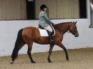 Image 76 in HALESWORTH AND DISTRICT RC. DRESSAGE AT BROADS EC. 14 MAY 2016
