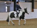 Image 90 in HALESWORTH AND DISTRICT RC. DRESSAGE AT BROADS EC. 14 MAY 2016