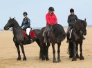 Image 10 in FRIESIANS ON HOLKHAM BEACH. 15 MAY 2016