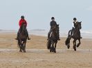 Image 101 in FRIESIANS ON HOLKHAM BEACH. 15 MAY 2016
