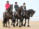 Image 102 in FRIESIANS ON HOLKHAM BEACH. 15 MAY 2016