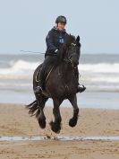 Image 103 in FRIESIANS ON HOLKHAM BEACH. 15 MAY 2016